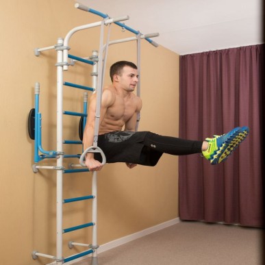 Scala Wallbarz Gym EG-W-055