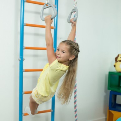 Wallbarz Family EG-W-056 gymnastic ladder