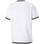 Puma teamLIGA Jersey Jr. 704925 04