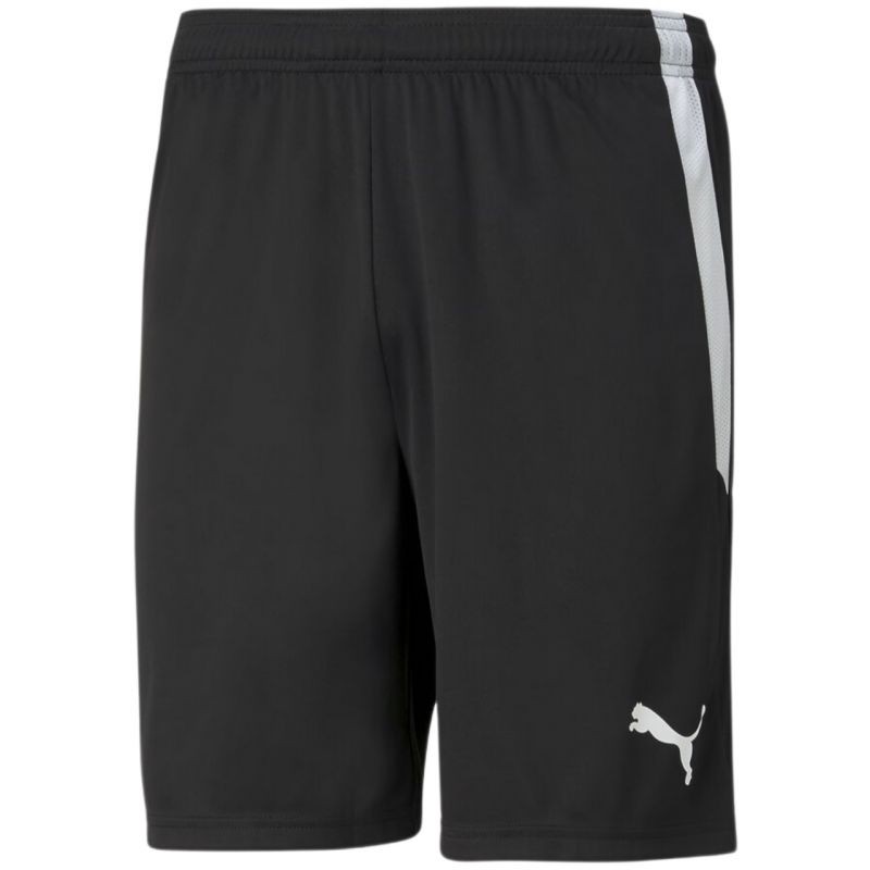 Puma teamLiga M 704924 03 shorts