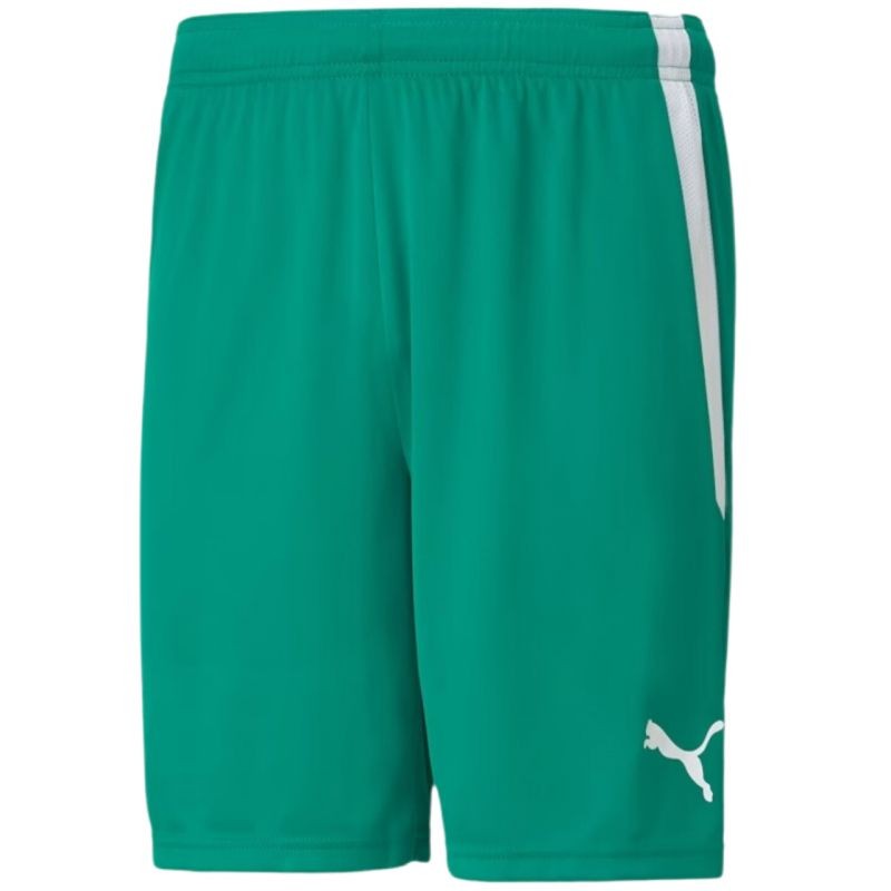 Pantaloncini Puma teamLiga M 704924 05