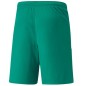 Puma teamLiga M 704924 05 shorts