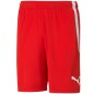 Pantaloncini squadra Puma LIGA M 704924 01