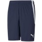 Pantaloncini squadra Puma LIGA M 704924 06