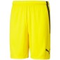 Pantaloncini squadra Puma LIGA M 704924 07