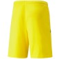 Pantaloncini squadra Puma LIGA M 704924 07