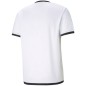 Puma teamLiga Jersey M 704917 04