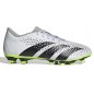 Adidas Predator Accuracy.4 FxG M GZ0013 shoes