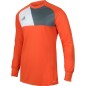 Maglia da portiere Adidas Assita 17 Junior AZ5398