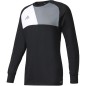 Adidas Assita 17 M AZ5401 goalkeeper jersey