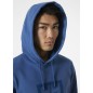 Helly Hansen Box Hoodie M 53289 636