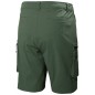 Helly Hansen Move Qd Shorts 2.0 M 53977 476