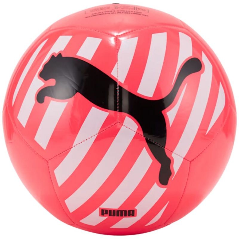 Pallone da calcio Puma Big Cat 83994 05