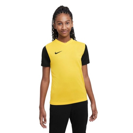 Maglietta Nike Dri-Fit Tiempo Premier 2 Jr DH8389-719