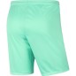 Nike Dry Park III NB KM Shorts BV6855 354