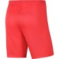 Nike Dry Park III NB KM Shorts BV6855 635