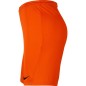 Nike Dry Park III NB KM Shorts BV6855 819