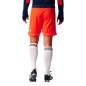 Pantaloncini da calcio Adidas Squadra 17 M BJ9229