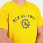 New Balance Sport Seasonal Graphic Cot VGL M T-shirt MT31904VGL