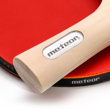 Set da ping pong Meteor 15029