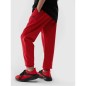 Pantaloni 4F Jr 4FJAW23TTROM411-62S