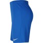 Pantaloncini Nike Dry Park III NB M BV6855 463