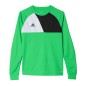 Adidas Assita 17 Jr AZ5406 sweatshirt