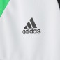 Adidas Assita 17 Jr AZ5406 sweatshirt