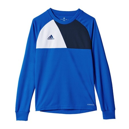 Adidas Assita 17 Jr AZ5404 sweatshirt