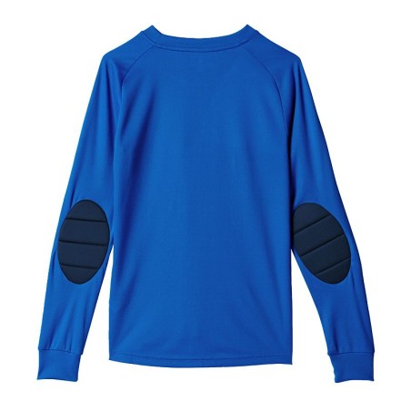 Adidas Assita 17 Jr AZ5404 sweatshirt