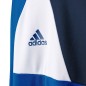 Adidas Assita 17 Jr AZ5404 sweatshirt