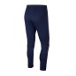 Nike Dry Park 20 Jr BV6902-451 pants