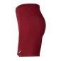 Nike Dry Park III M BV6855-677 shorts