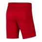 Pantaloncini Nike Park III Knit Jr BV6865-657