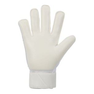 Guanti da portiere Nike Match M FJ4862-100