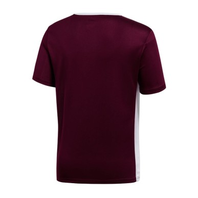 T-shirt adidas Entrada 18 Jr CE9564