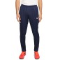 Nike Park 20 M BV6877-410 pants