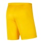 Shorts Nike Park III Knit Jr BV6865-719