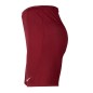 Shorts Nike Park III Knit Jr BV6865-677