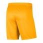 Nike Dry Park III M BV6855-739 shorts