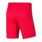 Pantaloncini Nike Park III Knit Jr BV6865-635