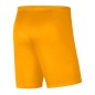 Shorts Nike Park III Knit Jr BV6865-739