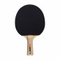 Cornilleau Sport 100 mazze da ping pong