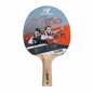 Cornilleau Sport 100 mazze da ping pong