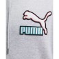 Puma Fandom Hoodie TR M 536114-04