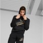 Puma ESS+ Big Logo Hoodie M 849867 01