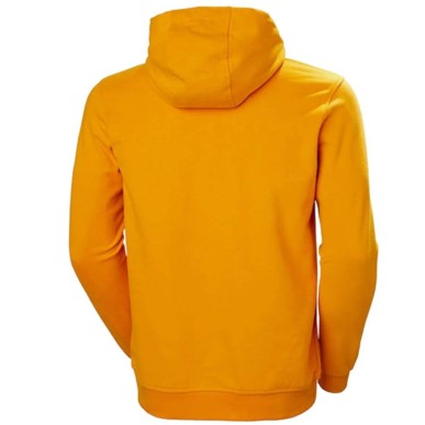 Helly Hansen Logo Hoodie M 33977-328