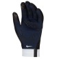 Nike PSG Academy Thermafit H023 FJ4859-010 gloves