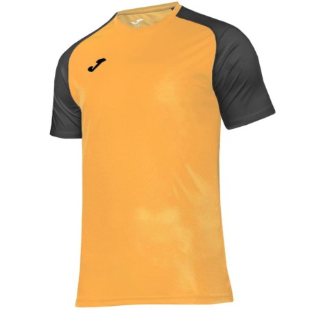 Joma Academy IV Sleeve maglia da calcio 101968.081