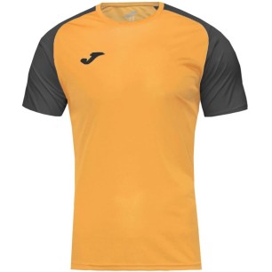 Joma Academy IV Sleeve maglia da calcio 101968.081